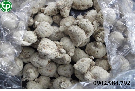 cung cấp Củ tam thất bắc tại tphcm