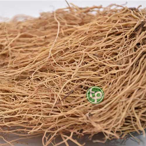 Công ty Bán Tế Tân Tại TP HCM? Công ty Bán Tế Tân Tại TP HCM?