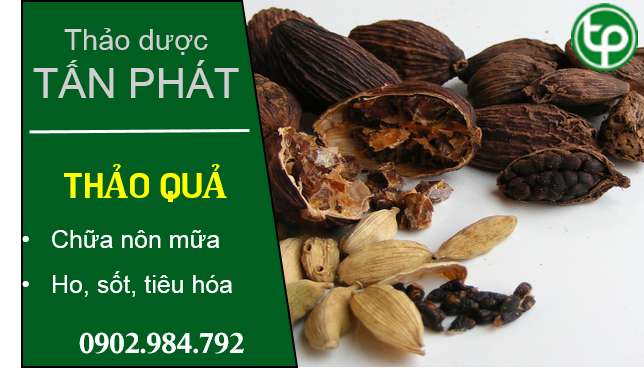 Phân phối thảo quả tại tphcm 