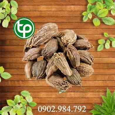 Mua Bán Thảo Quả tại tphcm