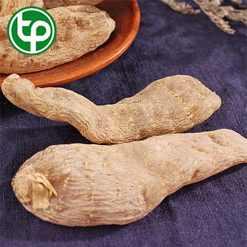 Công ty Bán Thiên Ma Tại TP HCM? Công ty Bán Thiên Ma Tại TP HCM?