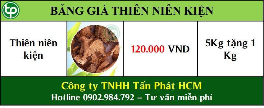 phân phối sỉ lẻ thiên niên kiện tại tphcm