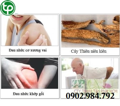 mua bán thiên niên kiện tại tphcm