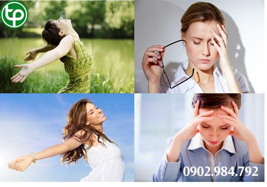 Công Dụng Hay Tác Dụng Của Tim sen tại tphcm cong-dung-tim-sen-tai-tphcm