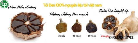 phân phối Tỏi đen lý sơn tại tphcm