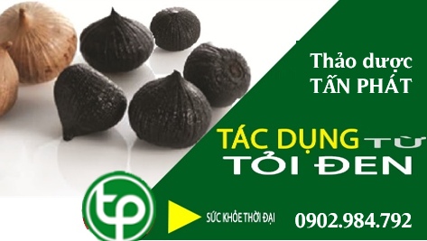 cung cấp Tỏi đen lý sơn tại tphcm