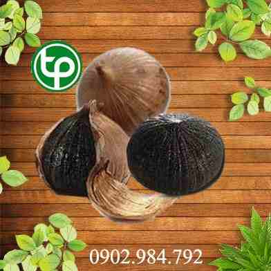 Mua Bán Tỏi đen lý sơn tại tphcm