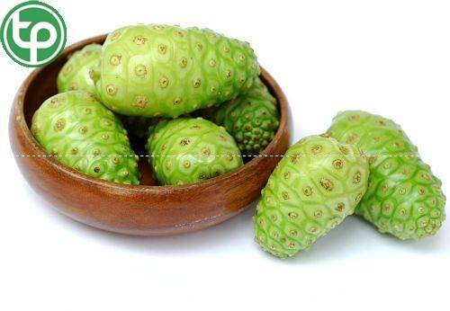 phân phối Trái nhàu tại tphcm