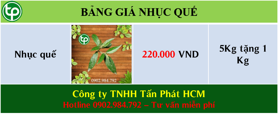 Bảng cung cấp giá cây nhục quế tại tphcm