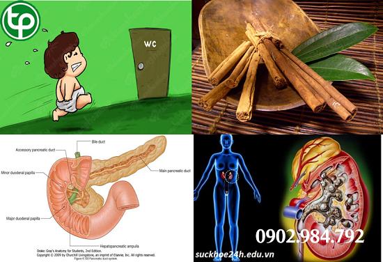Cung cấp  Vỏ Quế giúp tại tphcm