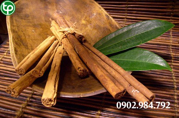 Công dụng vỏ quế tại tphcm