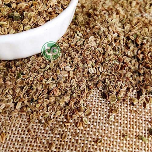 Công ty Bán Xà Sàng Tử Tại TP HCM? Địa chỉ bán sỉ lẻ xà sàng tử tại tphcm?
