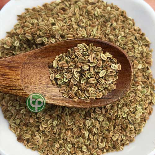 Địa chỉ bán sỉ lẻ xà sàng tử tại tphcm? Địa chỉ bán sỉ lẻ xà sàng tử tại tphcm?