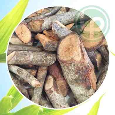 cung cấp cây tơm trong tại tphcm 