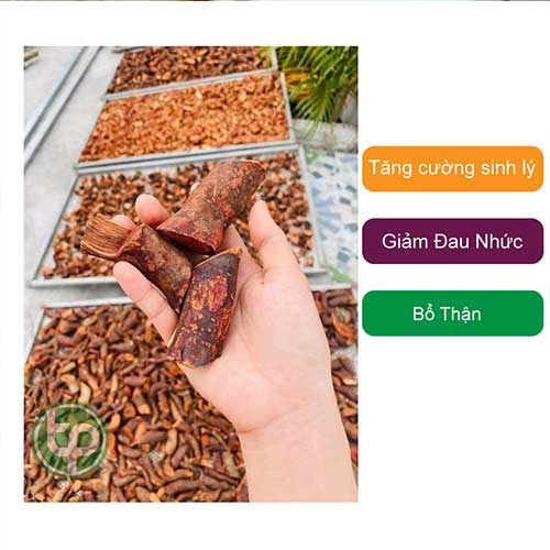 Công ty Bán Mú Từn Tại TP HCM? Công ty Bán Mú Từn Tại TP HCM?