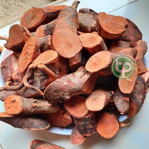 Công ty Bán Mú Từn Tại TP HCM? Công ty Bán Mú Từn Tại TP HCM?