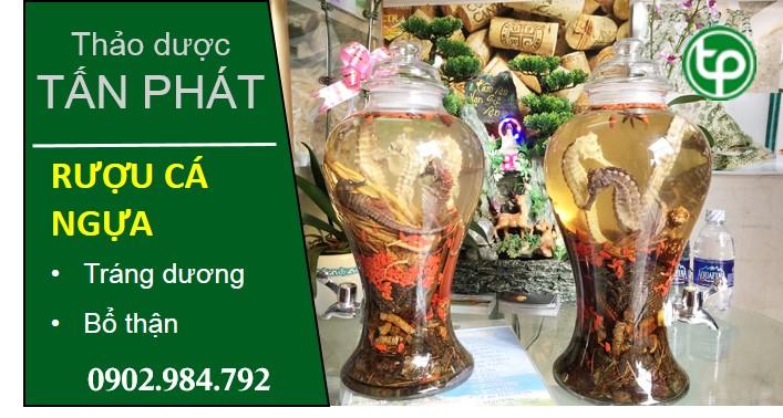phân phối sĩ và lẻ Rượu cá ngựa tại tphcm