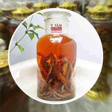 Mua Bán Sỉ Và Lẻ Rượu cá ngựa tại tphcm