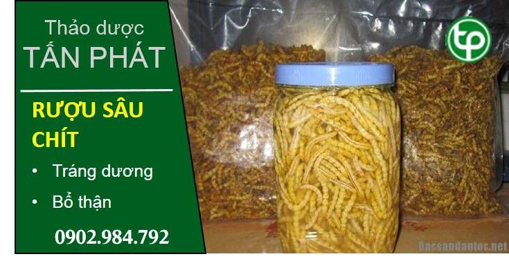 phân phối Rượu sâu chít tại tphcm