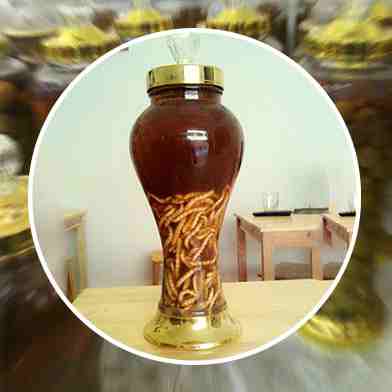 Mua Bán Sỉ Và Lẻ Rượu sâu chít tại tphcm