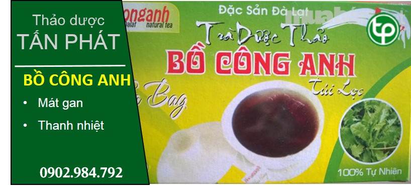 phân phối Trà bồ công anh túi lọc tại tphcm