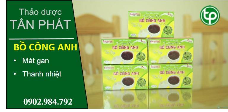 cung cấp Trà bồ công anh túi lọc tại tphcm