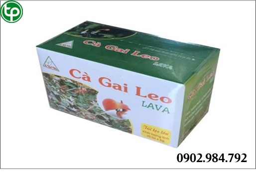 cung cấp Trà cà gai leo tại tphcm cung cấp Trà cà gai leo tại tphcm