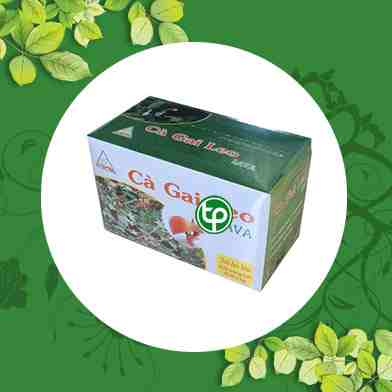Mua Bán Sỉ Và Lẻ Trà cà gai leo tại tphcm Mua Bán Sỉ Và Lẻ Trà cà gai leo tại tphcm