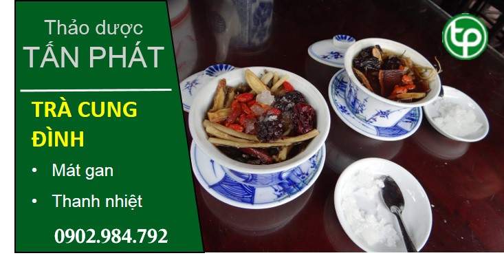phân phối Trà cung đình tại tphcm