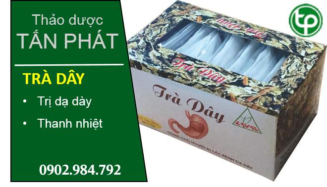 phân phối Trà dây túi lọc tại tphcm