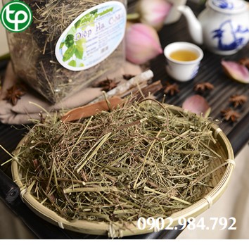 phân phối Trà diệp hạ châu tại tphcm