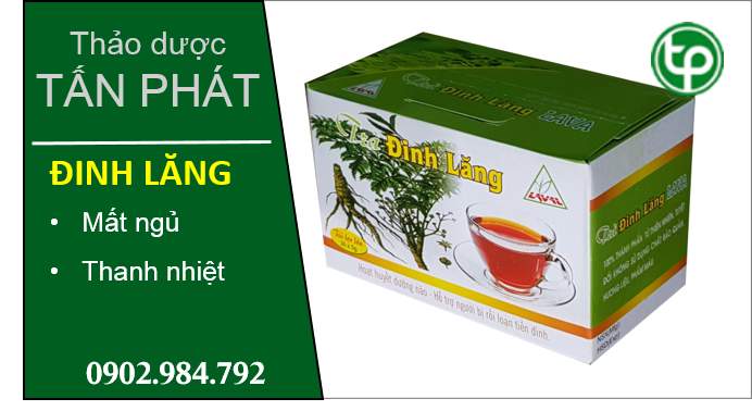 cung cấp sỉ và lẻ trà đinh lăng tại tphcm