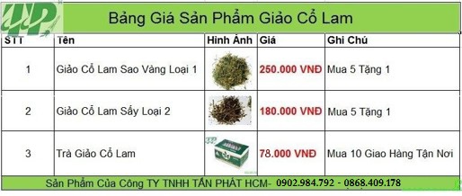 mua bán trà giảo cổ lam tại tphcm