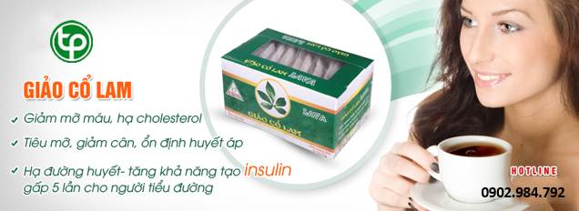 cung cấp Trà giảo cổ lam tại tphcm
