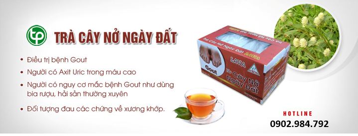 phân phối Trà nở ngày đất túi lọc tại tphcm phân phối Trà nở ngày đất túi lọc tại tphcm