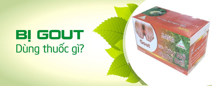 cung cấp Trà nở ngày đất túi lọc tại tphcm cung cấp Trà nở ngày đất túi lọc tại tphcm