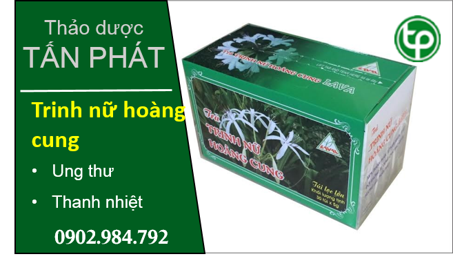 cung cấp Trà trinh nữ hoàng cung tại tphcm