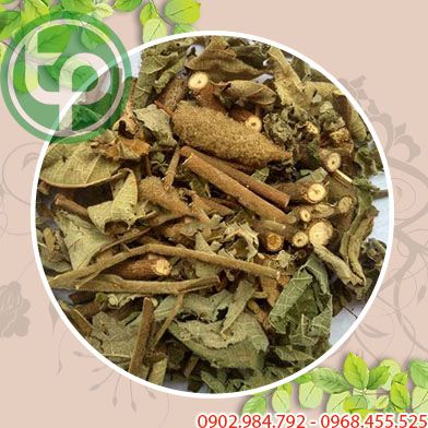 Bán Sỉ An Xoa Tại HCM Ở Đâu?