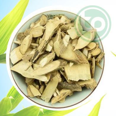 Bán Sỉ Bạch Đồng Nữ Tại HCM Ở Đâu?