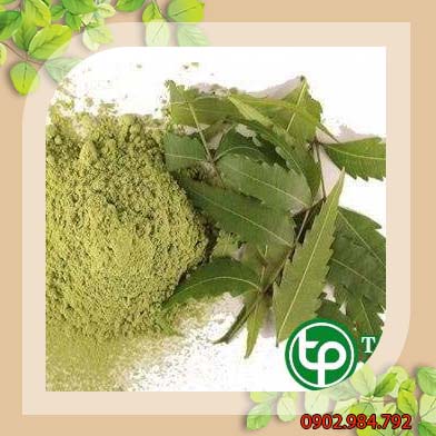 Bán Sỉ Bột Lá Neem Tại HCM Ở Đâu?