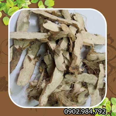 Bán Sỉ Cây Thủy Xương Bồ Tại HCM Ở Đâu?