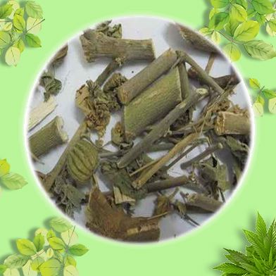 Bán Sỉ Cối Xay Tại HCM Ở Đâu?
