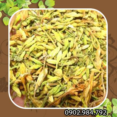 Bán Sỉ Hoa Đu Đủ Đực Tại HCM Ở Đâu?