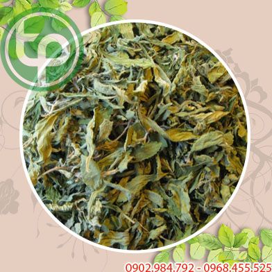Bán Sỉ Hoàn Ngọc Tại HCM Ở Đâu?