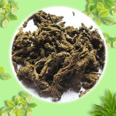 Bán Sỉ Hoàng Liên Tại HCM Ở Đâu?