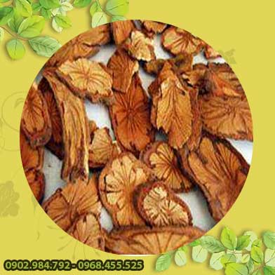 Bán Sỉ Kê Huyết Đằng Tại HCM Ở Đâu?