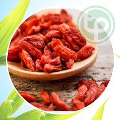 Bán Sỉ khởi tử Tại HCM Ở Đâu?