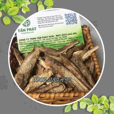 Bán Sỉ Thần Thông Tại HCM Ở Đâu?