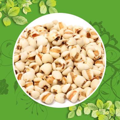 Bán Sỉ Ý Dĩ Tại HCM Ở Đâu?
