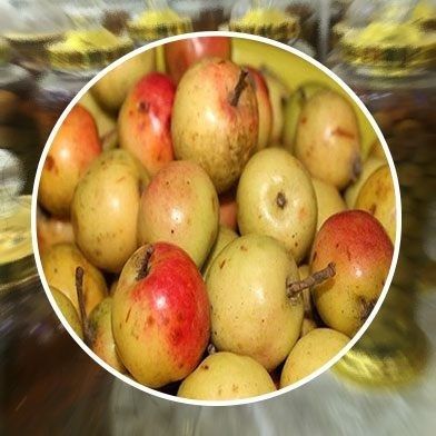 Địa Chỉ Bán Sỉ Lẻ Táo Mèo Tươi Tại TP HCM?